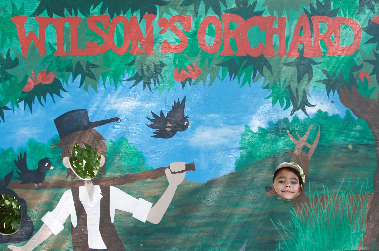 Wilson's Orchard