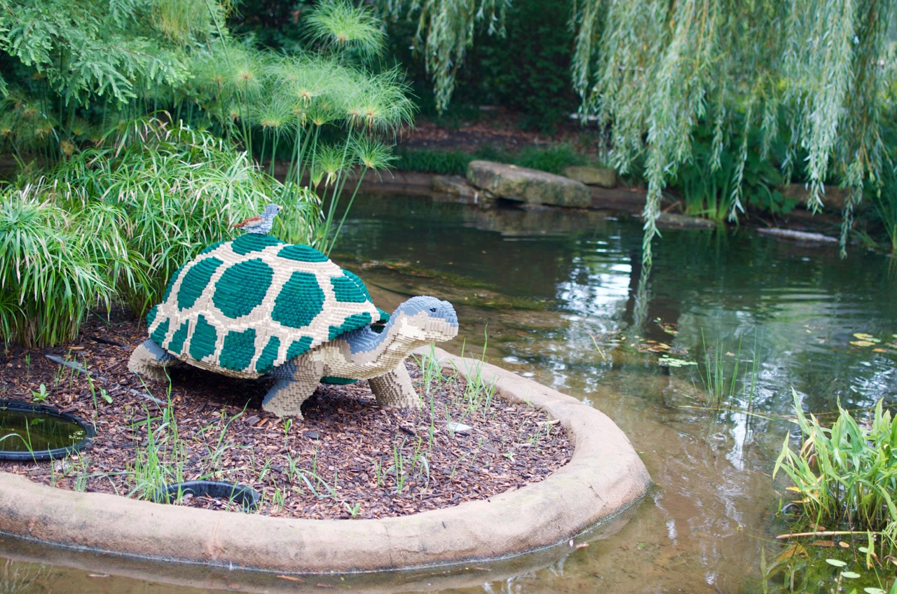 Une journée à Aurora