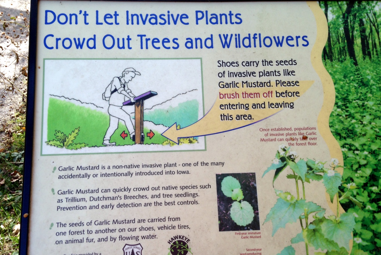 Déformation professionnelle