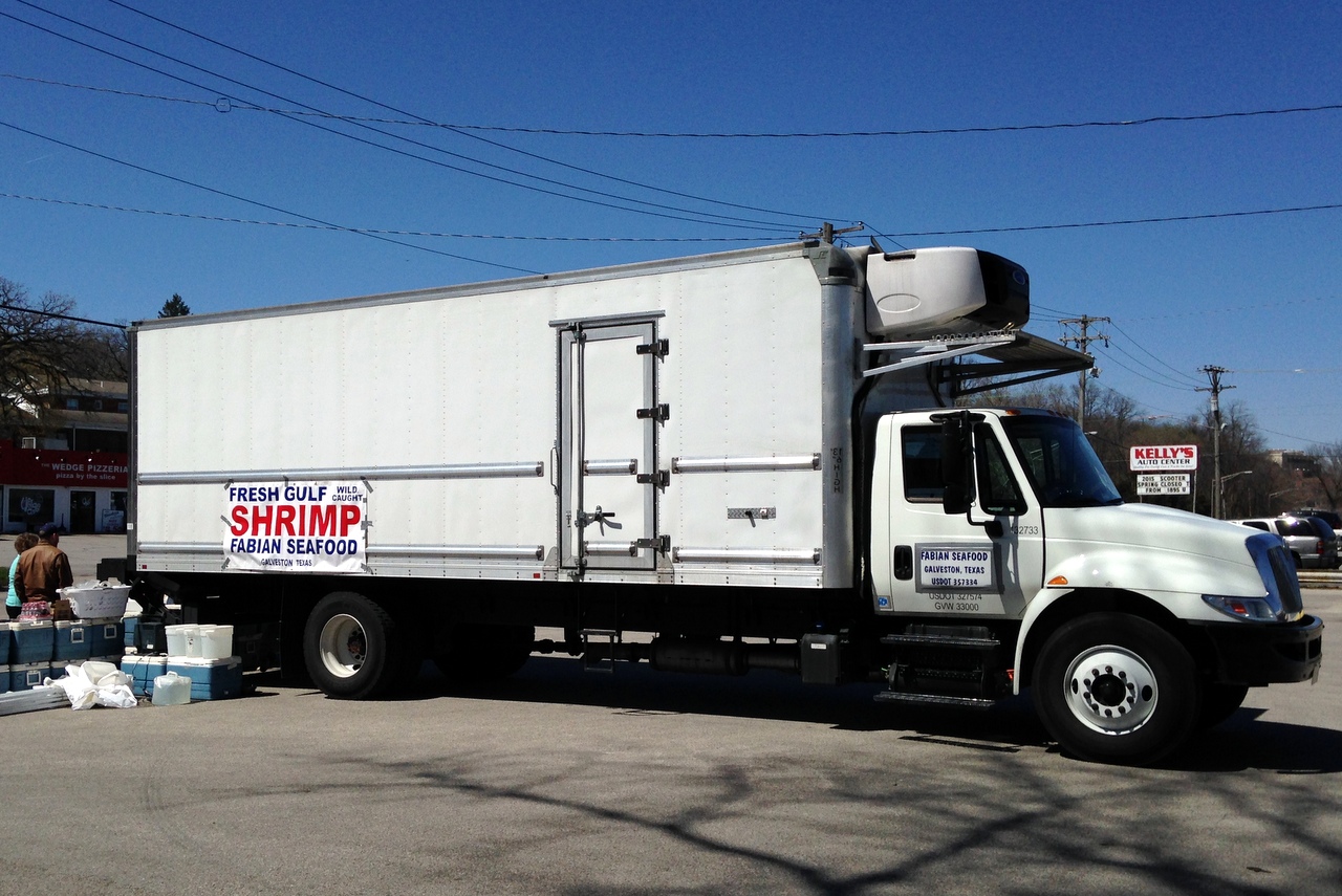 La migration des crevettes