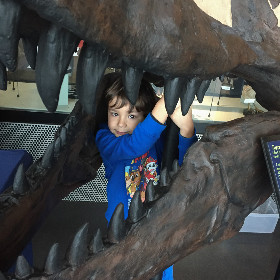 NYE at Birmingham Palace