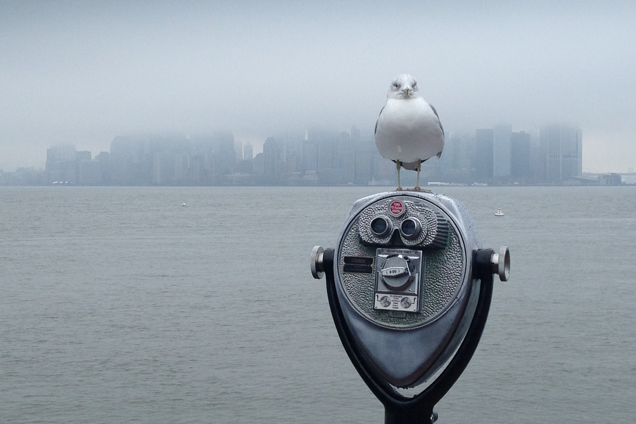 Un jour j'irai à New York avec toi...